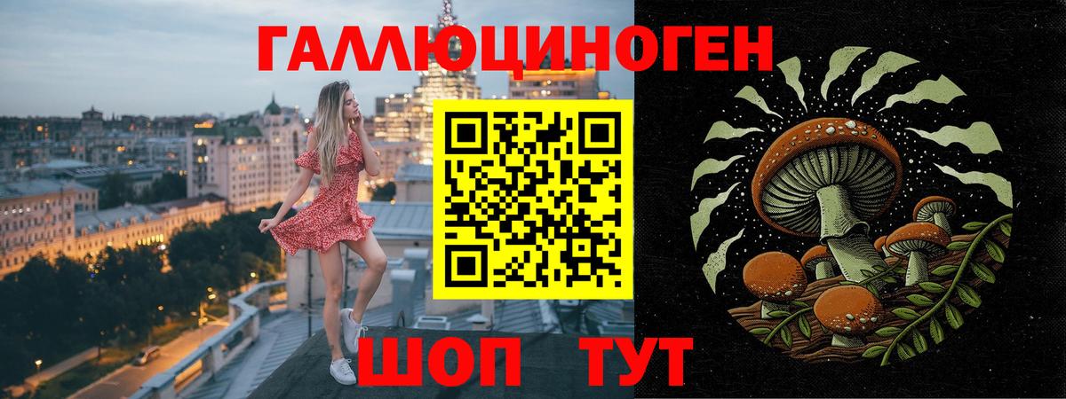 Псилоцибиновые грибы прущие грибы Камышин