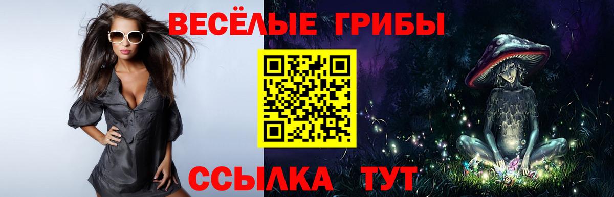 Галлюциногенные грибы GOLDEN TEACHER  Вход с VPN  Псилоцибиновые грибы GOLDEN TEACHER  Камышин 