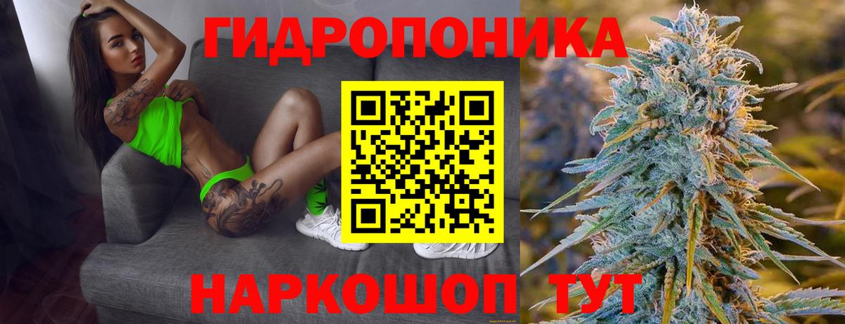Канабис планчик Камышин